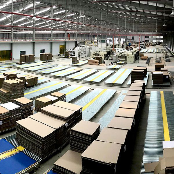 Système de Convoyage pour Carton Ondulé